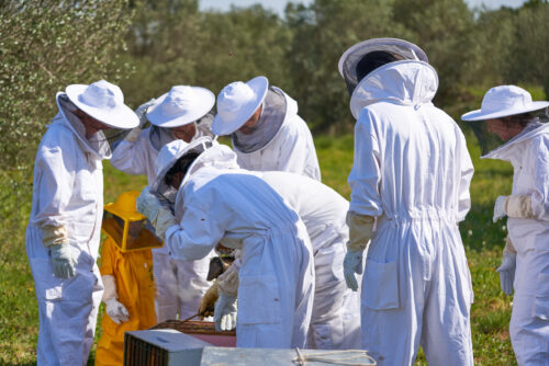 Apiturisme · Apicultors per un dia · Abellaires Empordanesos